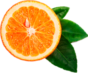 orange__0007_Layer-1.png orange__0007_Layer-1.png